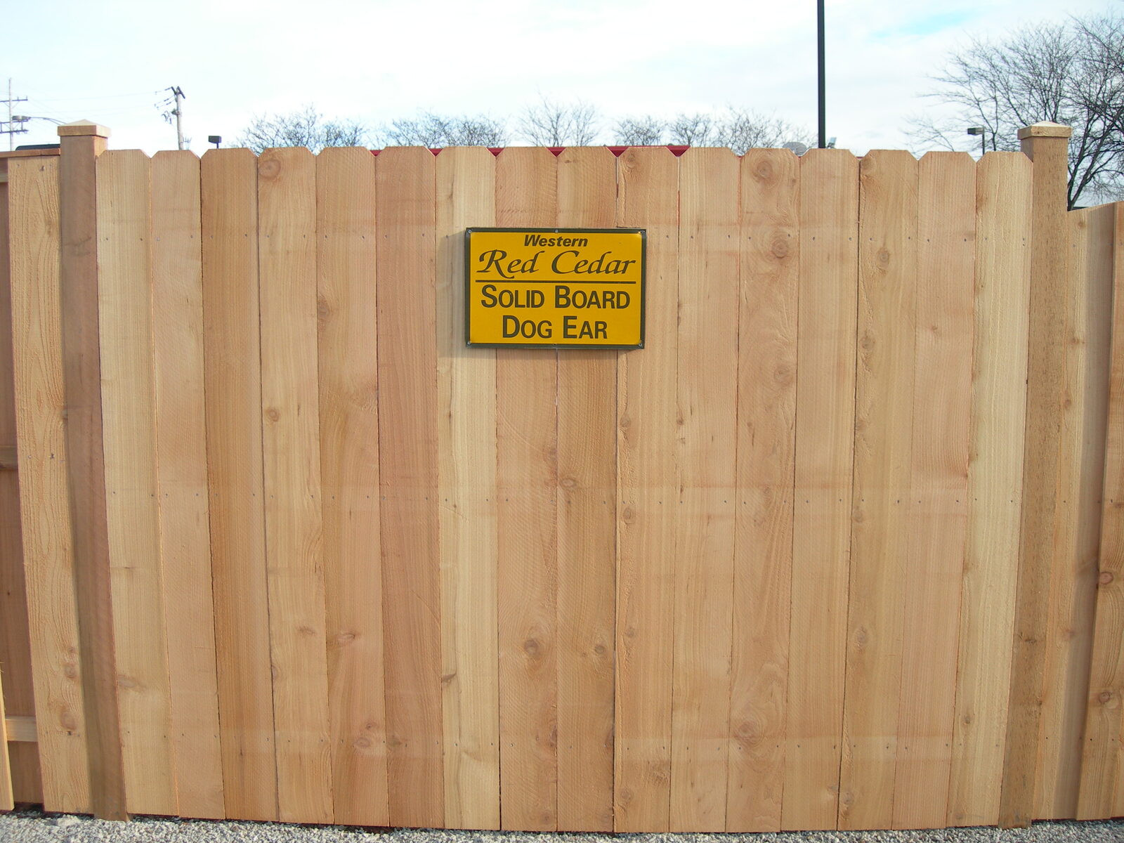 Western red cedar fence